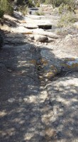 /album/carloforte-storia-e-archeologia/strada-romana-12-jpg/